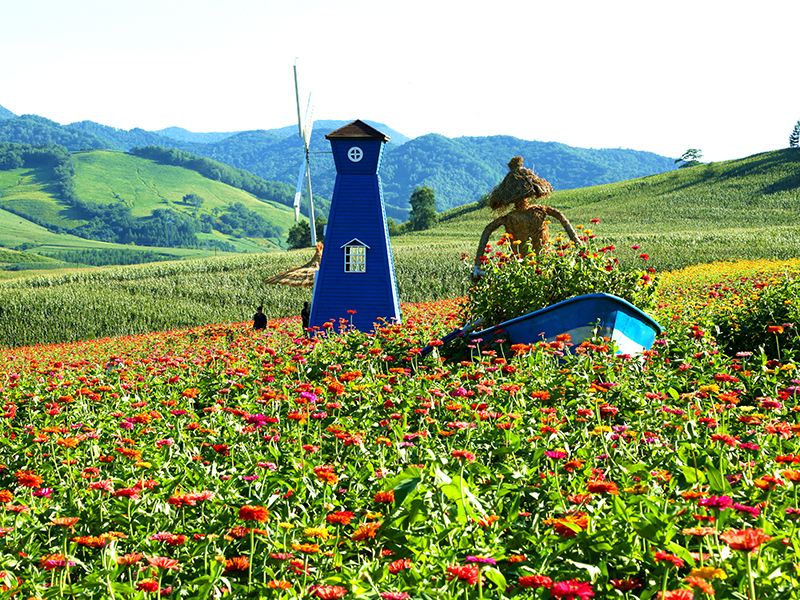 白山湖景區(qū)夏景