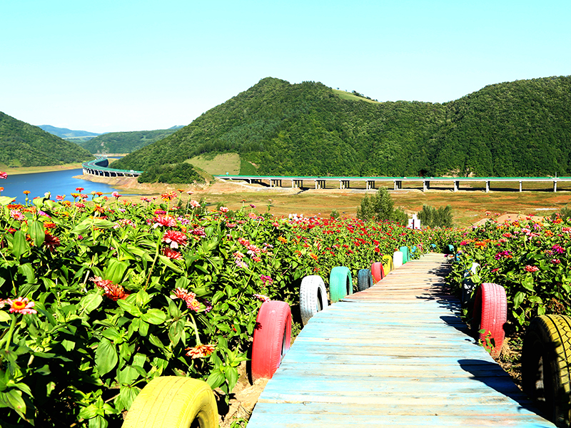 白山湖景區(qū)夏景